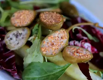 Fresh salad plate